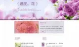 手机网站建设HTML5